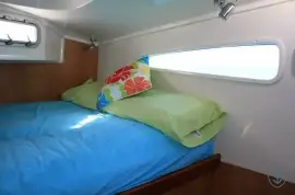 DOLPHIN 460