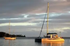 DOLPHIN 460