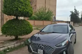 سوناتا 2018